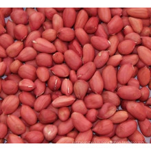 Raw Red Peak Peanuts